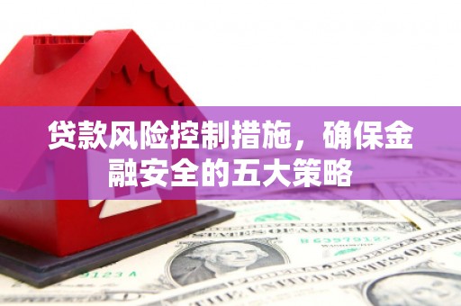 无为贷款风险控制措施，确保金融安全的五大策略