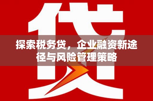 介休探索税务贷，企业融资新途径与风险管理策略