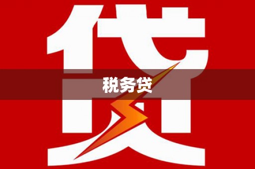 宁明税务贷