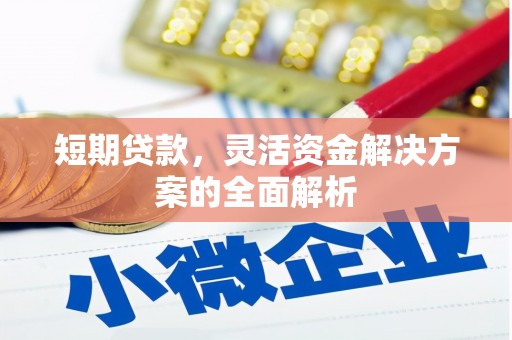 秀山短期贷款，灵活资金解决方案的全面解析