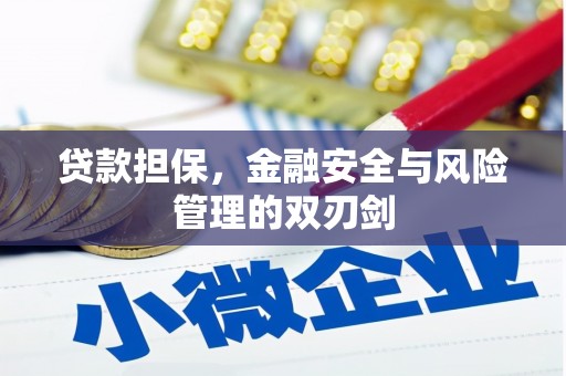 靖宇贷款担保，金融安全与风险管理的双刃剑