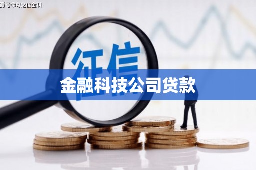 商河金融科技公司贷款