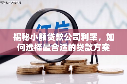 鄱阳揭秘小额贷款公司利率，如何选择最合适的贷款方案