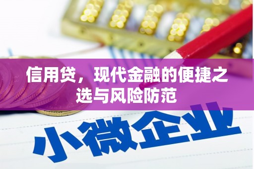 鄞州信用贷，现代金融的便捷之选与风险防范