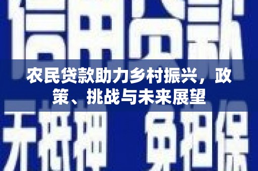 五营农民贷款助力乡村振兴，政策、挑战与未来展望