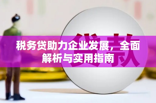 江南税务贷助力企业发展，全面解析与实用指南