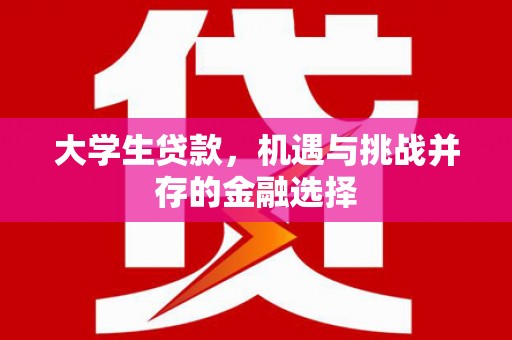 沙洋大学生贷款，机遇与挑战并存的金融选择