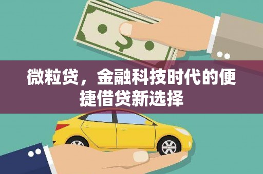 凤县微粒贷，金融科技时代的便捷借贷新选择