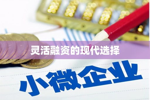湘东灵活融资的现代选择