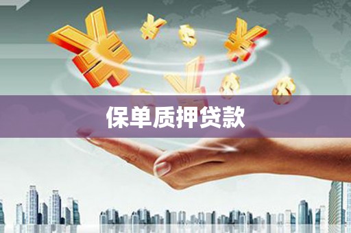 龙安保单质押贷款