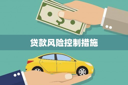 安定贷款风险控制措施