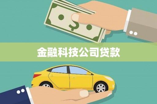 莱城金融科技公司贷款