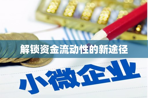 望谟解锁资金流动性的新途径