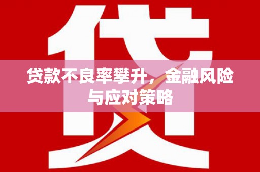 茂林贷款不良率攀升，金融风险与应对策略