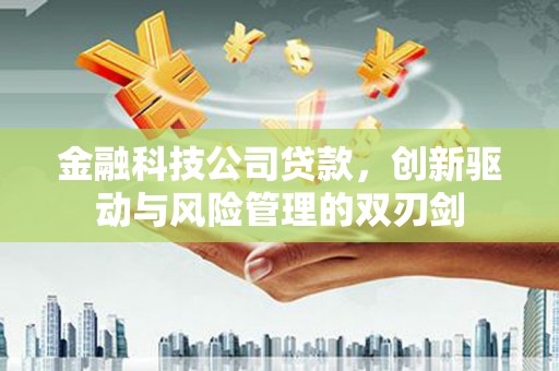 平南金融科技公司贷款，创新驱动与风险管理的双刃剑